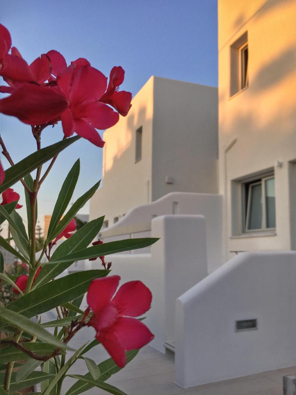Quartano Luxury Cycladic Residence, Adults Only Zambujeira do Mar Dış mekan fotoğraf